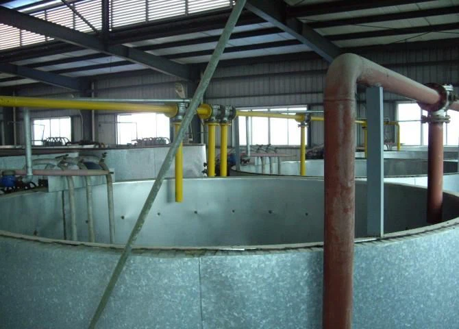 Soap Production Lines