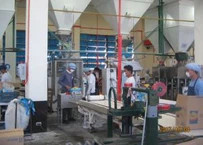 High Effective Soap Powder with Lemon Perfume-Myfs293